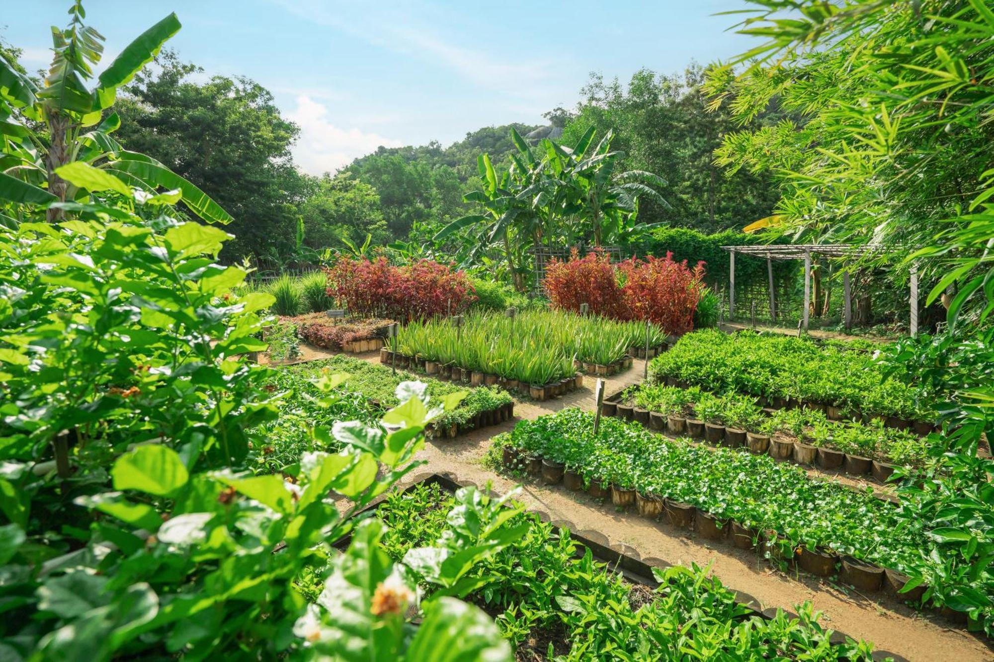 An Lam Retreats Ninh Van Bay (Adults Only) Exterior foto